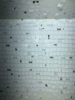 Whiteness, - Image 6
